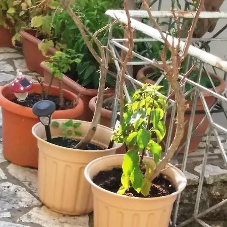 Margarita's Appartamento